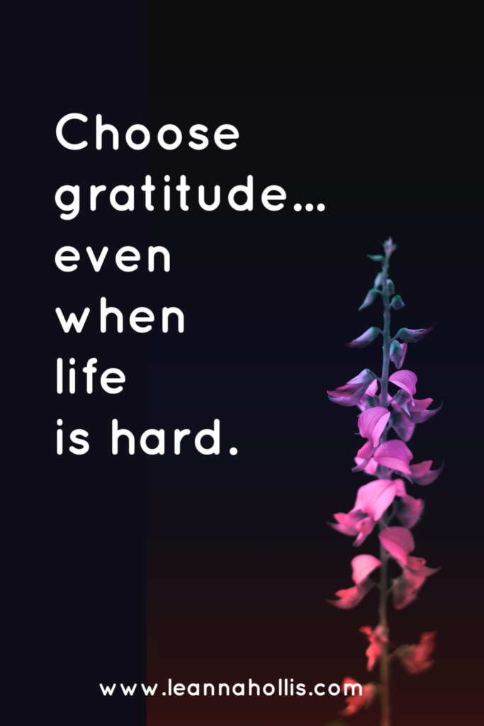 Choose gratitude