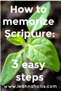 How to Memorize Scripture