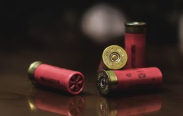 shotgun shells and school shooting
