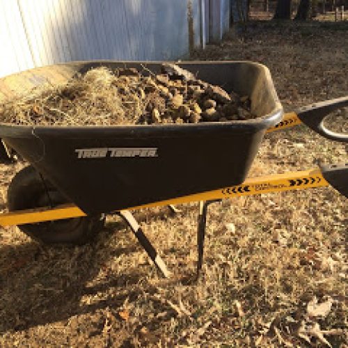 The Importance of Mucking Out the Stalls