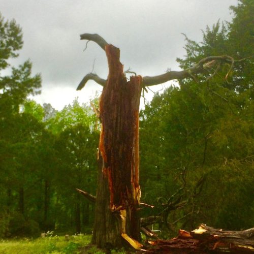 Prayer Walk After Meridian Tornado